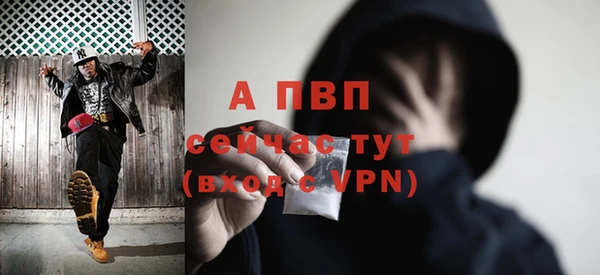 прущие грибы Нефтекумск