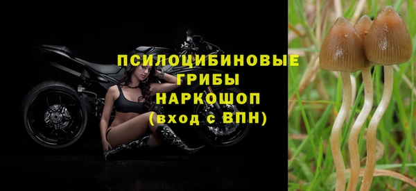 амф Нея