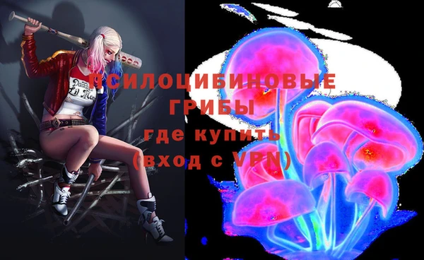 соль ск Семёнов