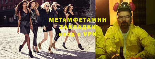 прущие грибы Нефтекумск