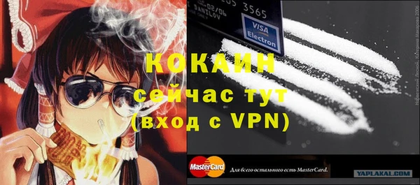 спиды Новозыбков
