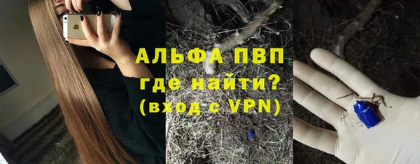 прущие грибы Нефтекумск