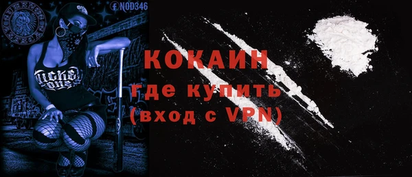 прущие грибы Нефтекумск