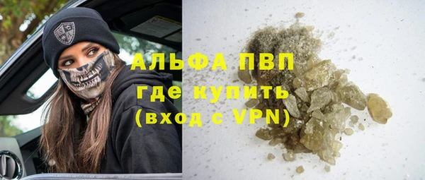 прущие грибы Нефтекумск